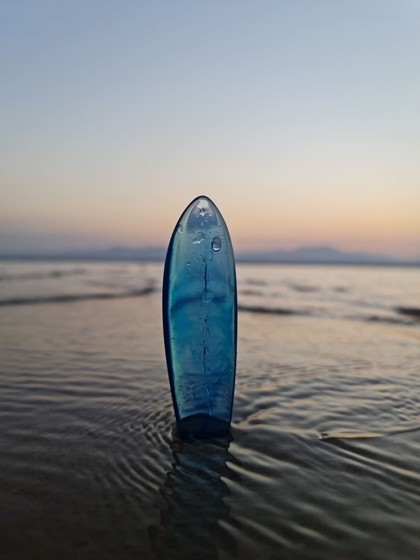 Translucent blue resin miniature surfboard standing in shallow water at sunset