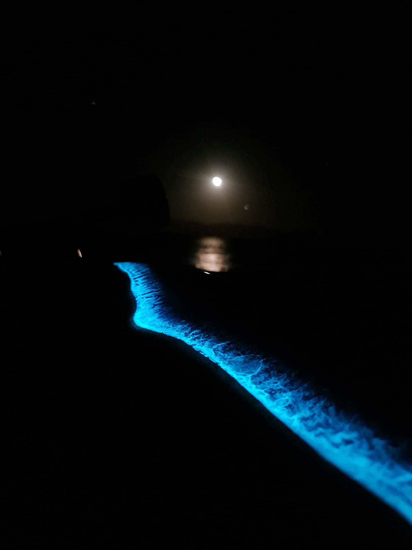 Noctiluca Wave longboard glowing blue at night beneath the moon