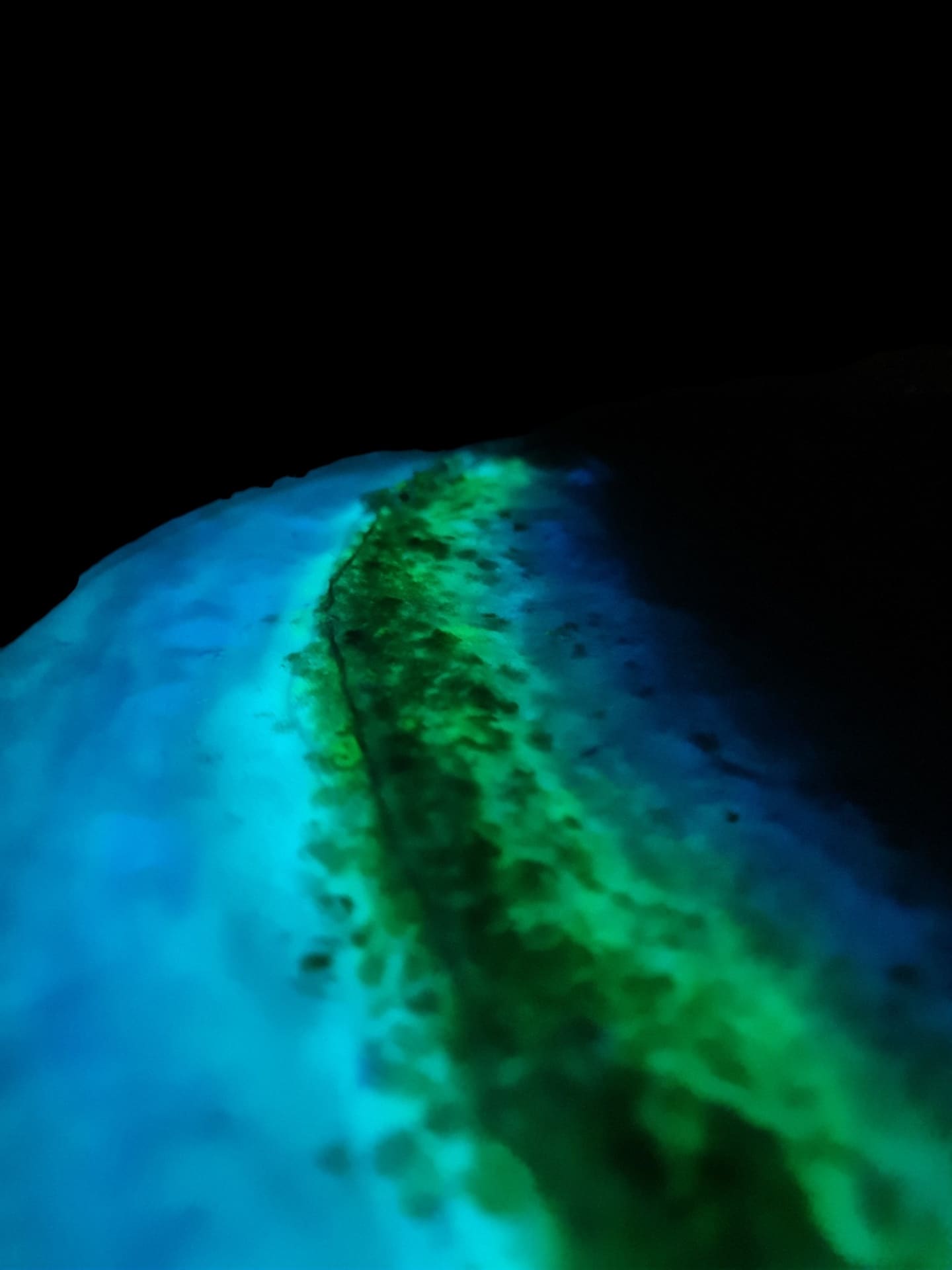 No. 010 Glow Tide