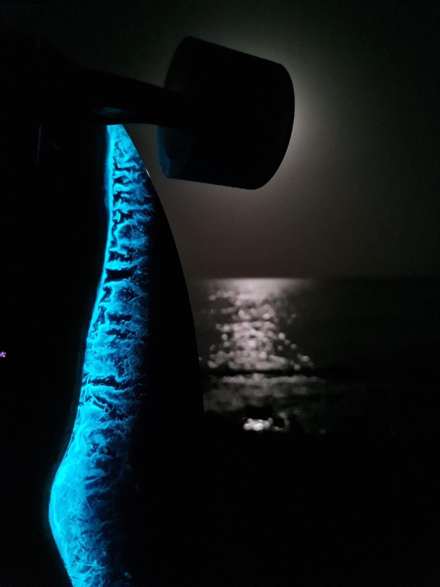 No. 007 Noctiluca Wave